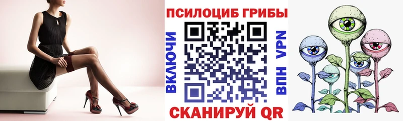 Псилоцибиновые грибы Magic Shrooms  Купить где  Талдом 